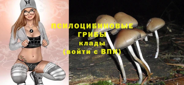 МДМА Кинешма