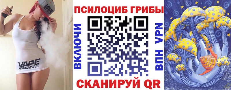 Купить Пыталово Галлюциногенные грибы Cubensis
